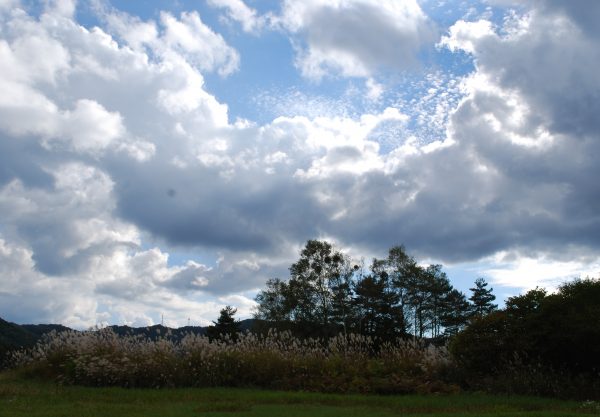 秋の空